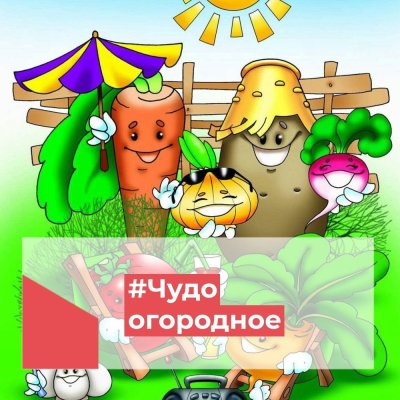 Чудо огородное